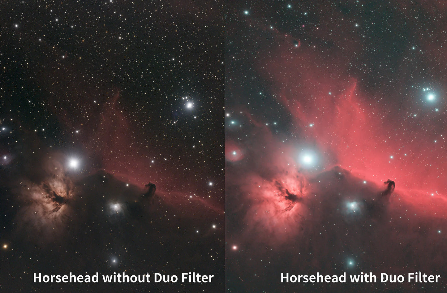 ZWO Duo Band Filter 1.25"